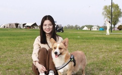 樱井莉亚内涵图